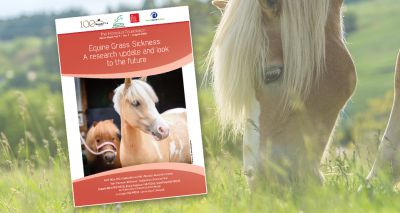 New booklet provides update on equine grass sickness